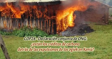 COP28 - Declaración conjunta de ONG: ¿están los créditos de carbono detrás de las expulsiones de los ogiek en Kenia?