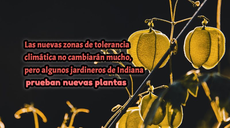 Las nuevas zonas de tolerancia climática no cambiarán mucho, pero algunos jardineros de Indiana prueban nuevas plantas