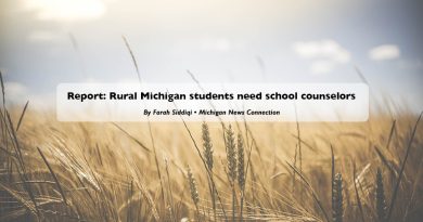 Report: Rural Michigan students need school counselors