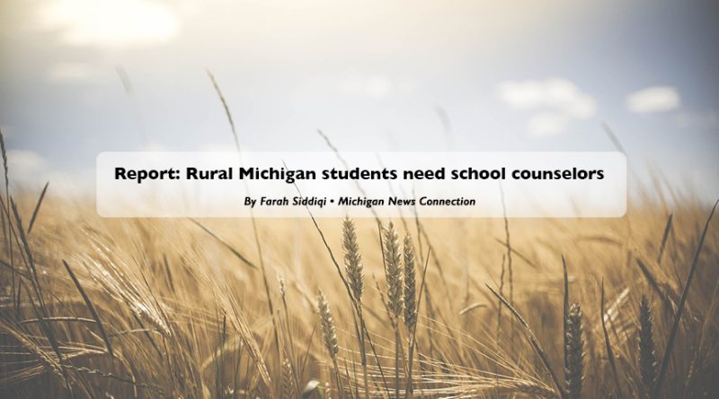 Report: Rural Michigan students need school counselors