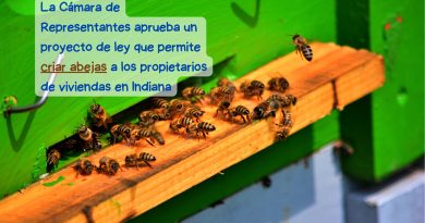 La Cámara de Representantes aprueba un proyecto de ley que permite criar abejas a los propietarios de viviendas en Indiana