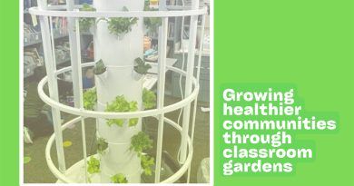 Growing healthier communities through classroom gardens