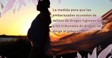 La medida para que las embarazadas acusadas de delitos de drogas ingresen antes a los tribunales de drogas, se dirige al gobernador