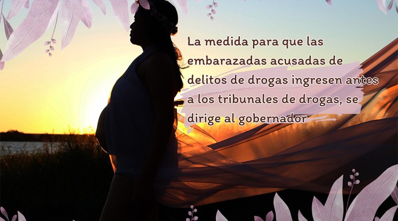 La medida para que las embarazadas acusadas de delitos de drogas ingresen antes a los tribunales de drogas, se dirige al gobernador