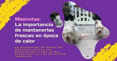 Mascotas: La importancia de mantenerlas frescas en época de calor
