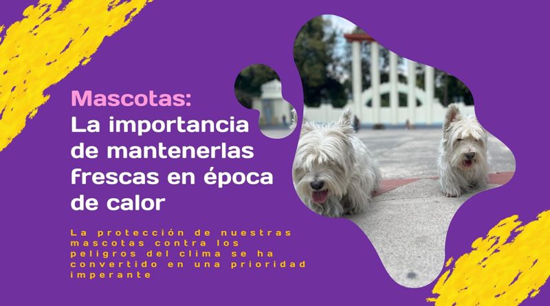 Mascotas: La importancia de mantenerlas frescas en época de calor
