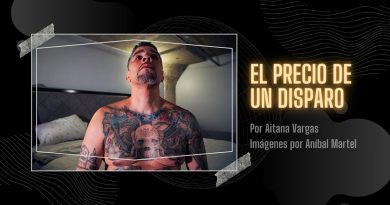 El precio de un disparo
