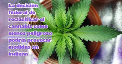 La decisión federal de reclasificar el cannabis como menos peligroso podría provocar medidas en Indiana