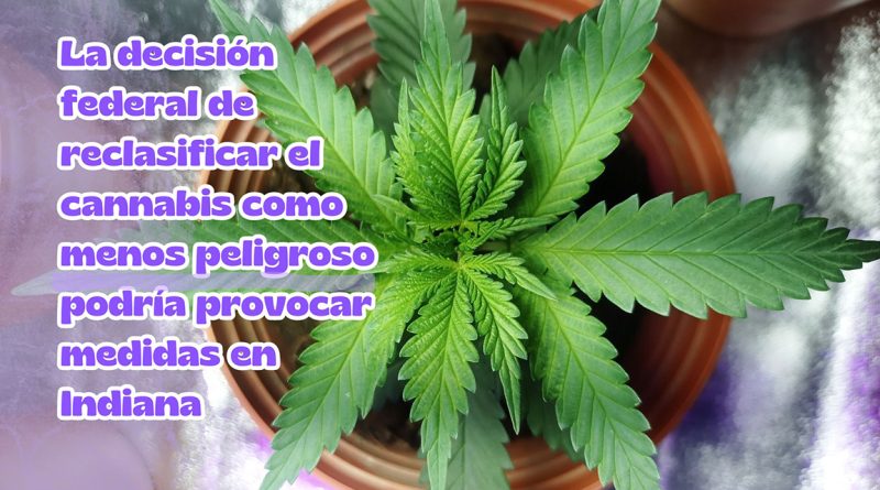 La decisión federal de reclasificar el cannabis como menos peligroso podría provocar medidas en Indiana