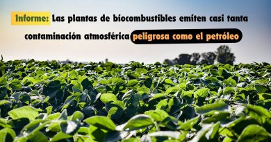 Informe: Las plantas de biocombustibles emiten casi tanta contaminación atmosférica peligrosa como el petróleo