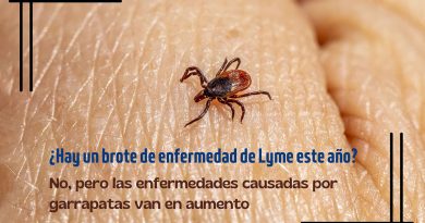 ¿Hay un brote de enfermedad de Lyme este año? No, pero las enfermedades causadas por garrapatas van en aumento
