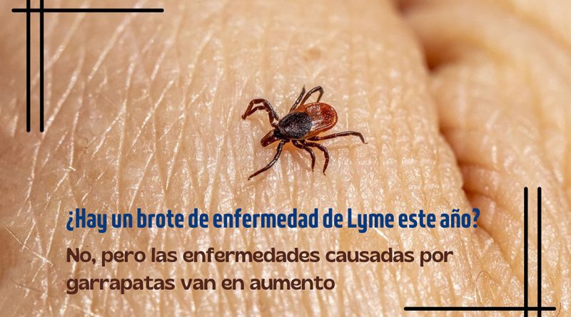 ¿Hay un brote de enfermedad de Lyme este año? No, pero las enfermedades causadas por garrapatas van en aumento