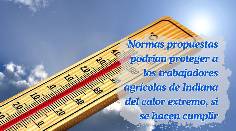 Normas propuestas podrían proteger a los trabajadores agrícolas de Indiana del calor extremo, si se hacen cumplir