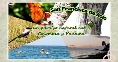 San Francisco de Asís: un paraíso natural entre Colombia y Panamá
