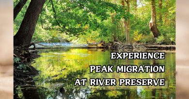 EXPERIENCE PEAK MIGRATION AT RIVER PRESERVE