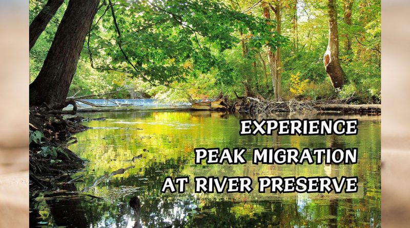 EXPERIENCE PEAK MIGRATION AT RIVER PRESERVE