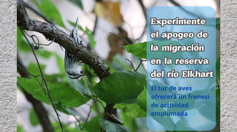 Experimente el apogeo de la migración en la reserva del río Elkhart