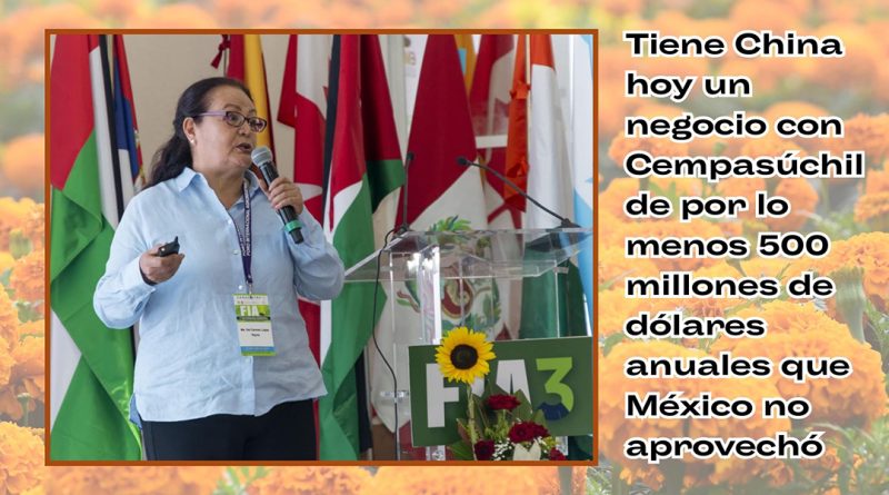 Tiene China hoy un negocio con Cempasúchil de por lo menos 500 millones de dólares anuales que México no aprovechó