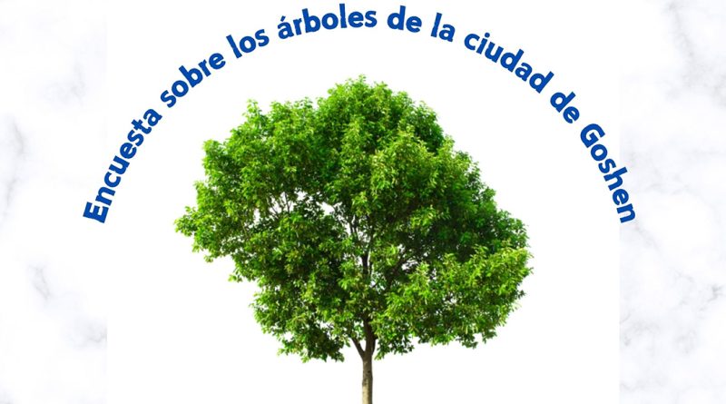 Encuesta sobre los árboles de la ciudad de Goshen