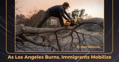 As Los Angeles Burns, Immigrants Mobilize
