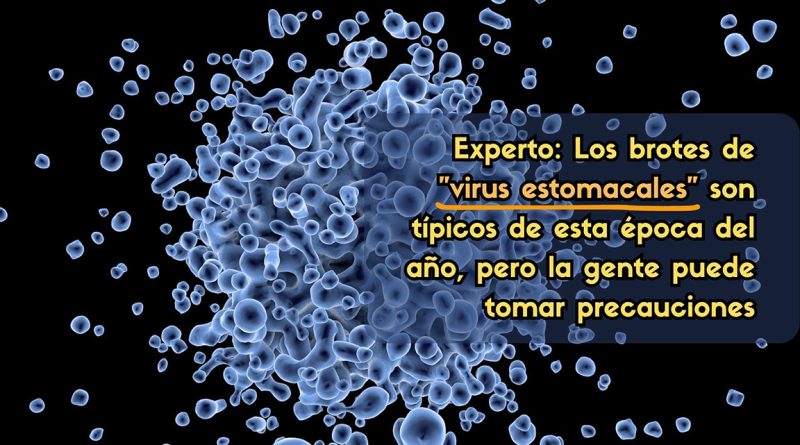 Experto: Los brotes de "virus estomacales" son típicos de esta época del año, pero la gente puede tomar precauciones