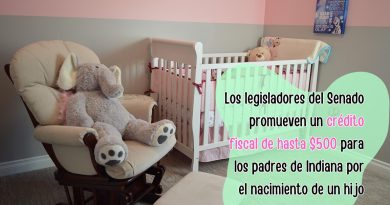 Los legisladores del Senado promueven un crédito fiscal de hasta $500 para los padres de Indiana por el nacimiento de un hijo