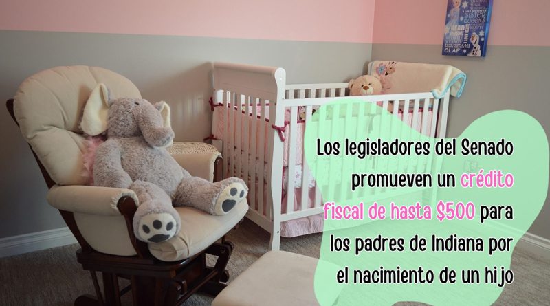 Los legisladores del Senado promueven un crédito fiscal de hasta $500 para los padres de Indiana por el nacimiento de un hijo