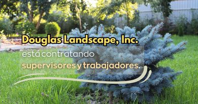 Douglas Landscape, Inc. está contratando supervisores y trabajadores.