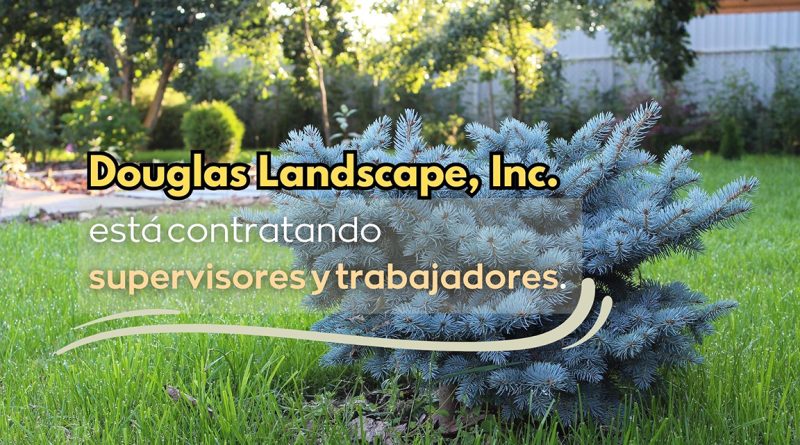 Douglas Landscape, Inc. está contratando supervisores y trabajadores.