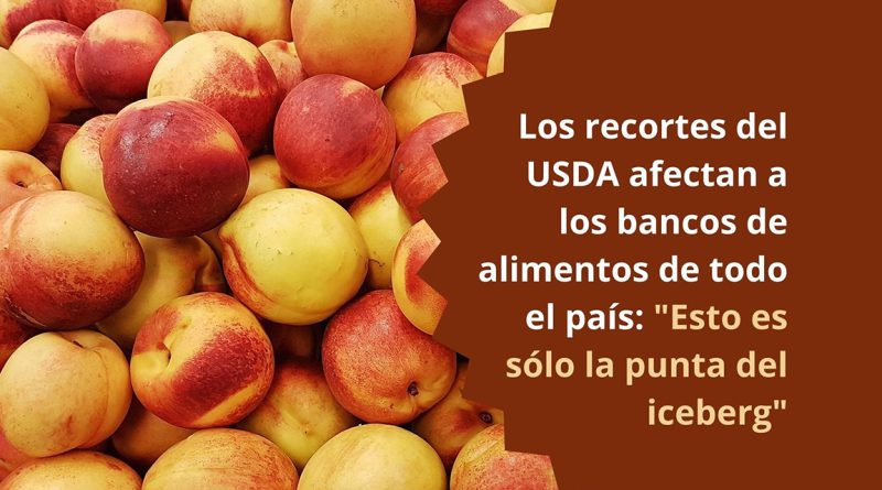 Los recortes del USDA afectan a los bancos de alimentos de todo el país: "Esto es sólo la punta del iceberg"