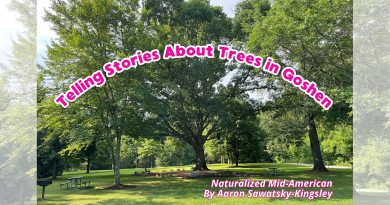 Telling Stories About Trees in Goshen
