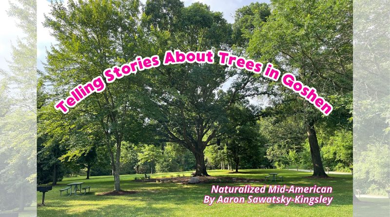 Telling Stories About Trees in Goshen