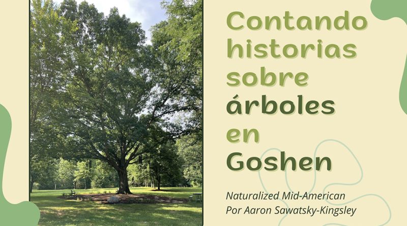 Contando historias sobre árboles en Goshen