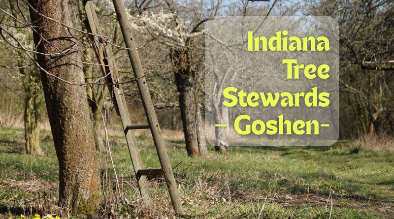 Indiana Tree Stewards – Goshen