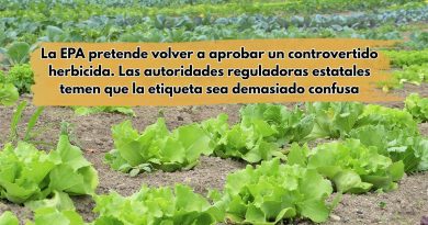 La EPA pretende volver a aprobar un controvertido herbicida. Las autoridades reguladoras estatales temen que la etiqueta sea demasiado confusa