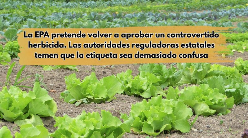 La EPA pretende volver a aprobar un controvertido herbicida. Las autoridades reguladoras estatales temen que la etiqueta sea demasiado confusa