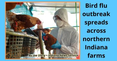Bird flu outbreak spreads across northern Indiana farms