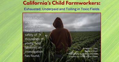 California’s Child Farmworkers: Exhausted, Underpaid and Toiling in Toxic Fields