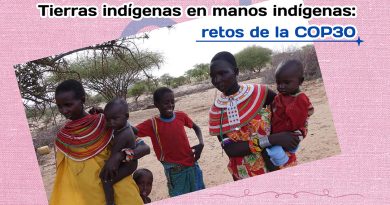 Tierras indígenas en manos indígenas: retos de la COP30