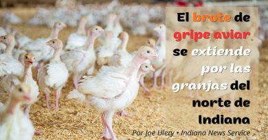 El brote de gripe aviar se extiende por las granjas del norte de Indiana