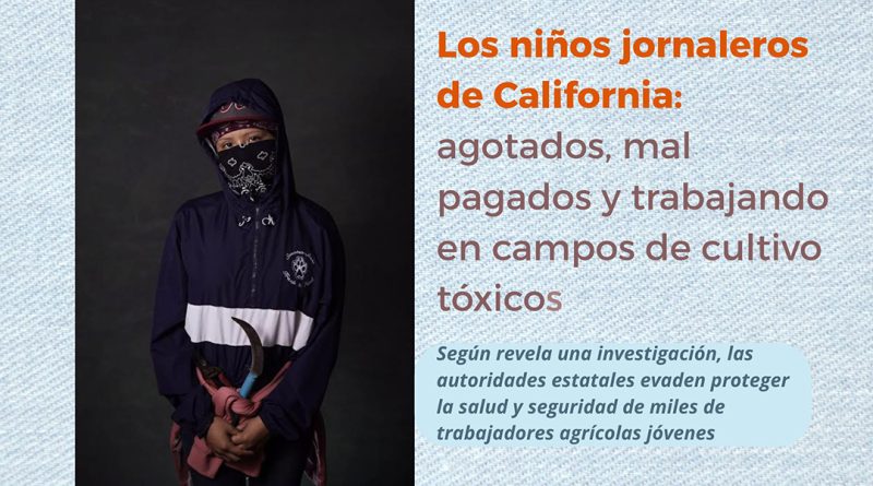Los niños jornaleros de California: agotados, mal pagados y trabajando en campos de cultivo tóxicos