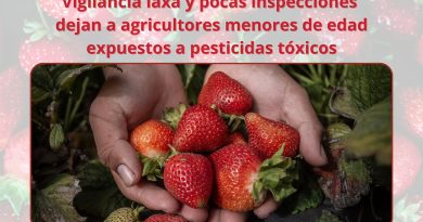 Vigilancia laxa y pocas inspecciones dejan a agricultores menores de edad expuestos a pesticidas tóxicos