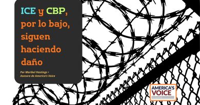 ICE y CBP, por lo bajo, siguen haciendo daño