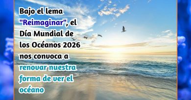 Bajo el lema "Reimaginar", el Día Mundial de los Océanos 2026 nos convoca a renovar nuestra forma de ver el océano