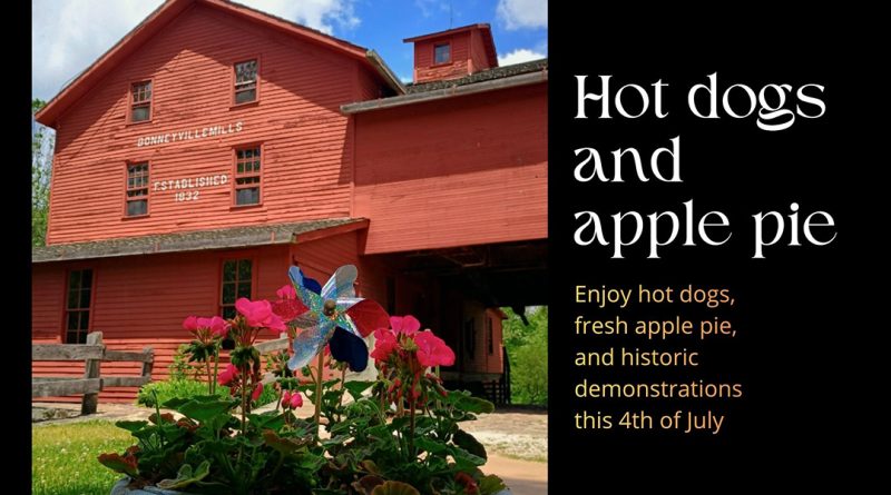 Hot dogs and apple pie