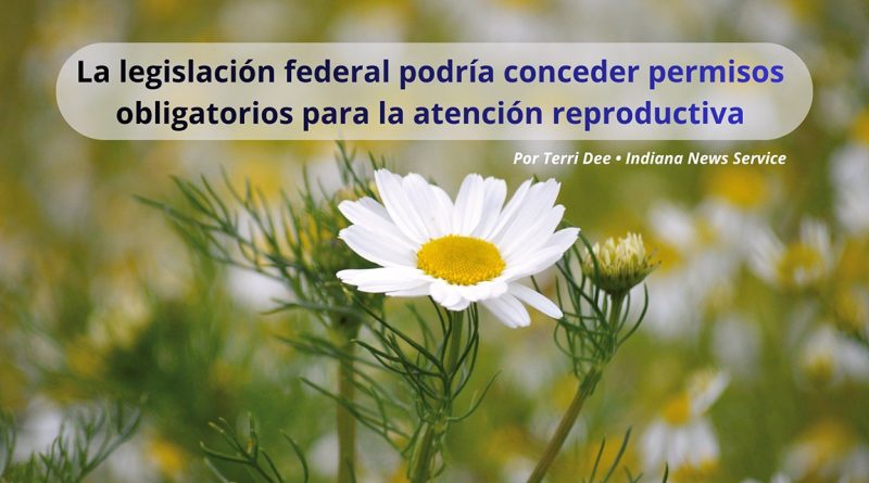 La legislación federal podría conceder permisos obligatorios para la atención reproductiva