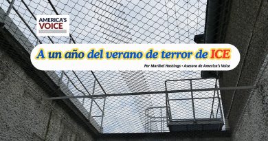 A un año del verano de terror de ICE