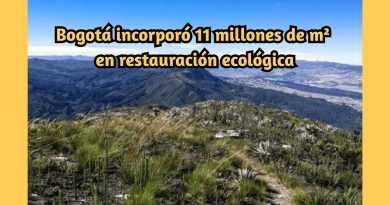 Bogotá incorporó 11 millones de m² en restauración ecológica