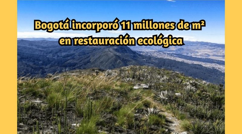 Bogotá incorporó 11 millones de m² en restauración ecológica