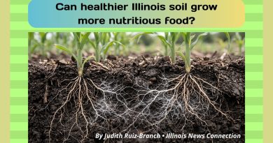 Can healthier Illinois soil grow more nutritious food?